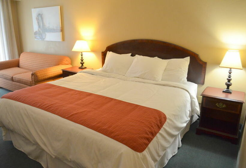 فندق Stratford Court