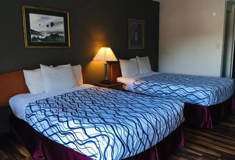 هتل Bear Mount Inn & Suites