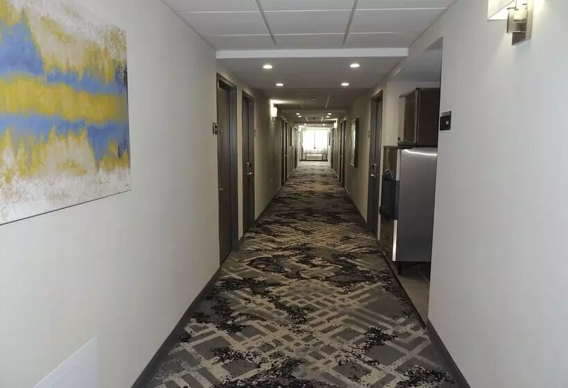 호텔 Best Western Plus Clarks Summit Scranton