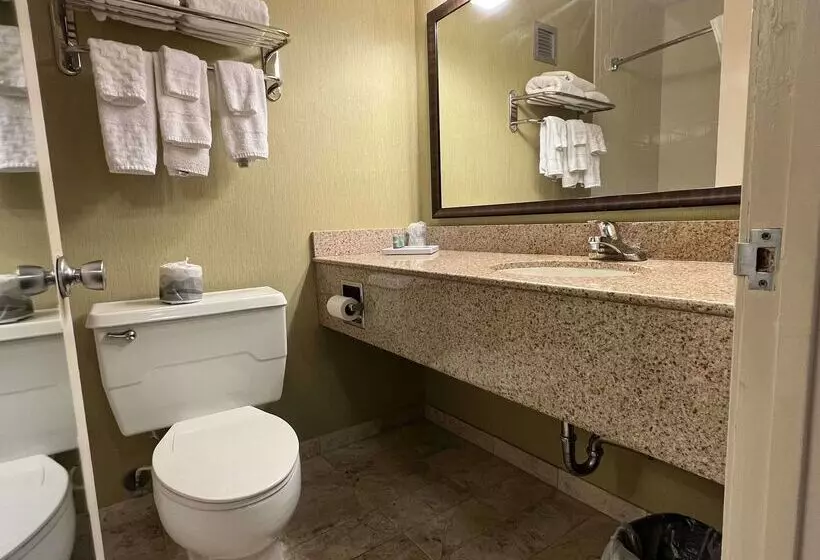 ホテル Best Western Williamsburg Historic District