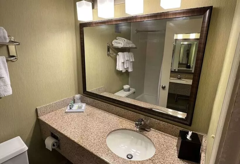 ホテル Best Western Williamsburg Historic District