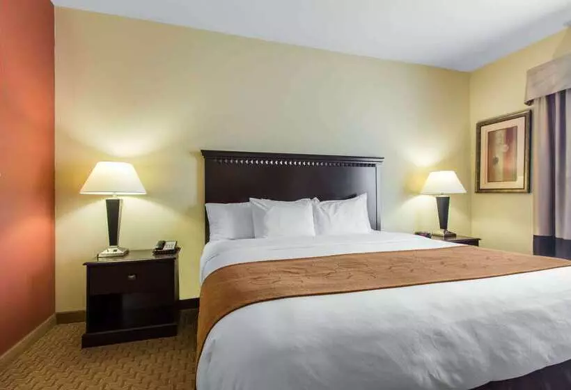 Hotelli Comfort Suites Cullman I65 Exit 310