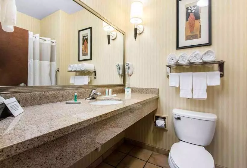 Hotelli Comfort Suites Cullman I65 Exit 310