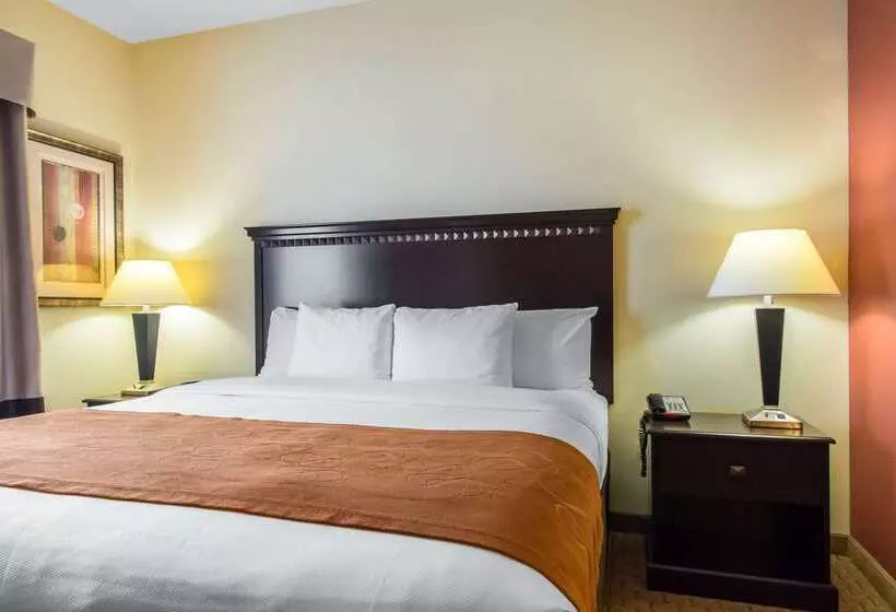 Hotelli Comfort Suites Cullman I65 Exit 310