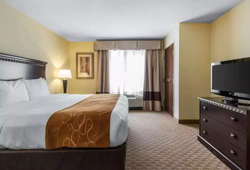 Hotelli Comfort Suites Cullman I65 Exit 310