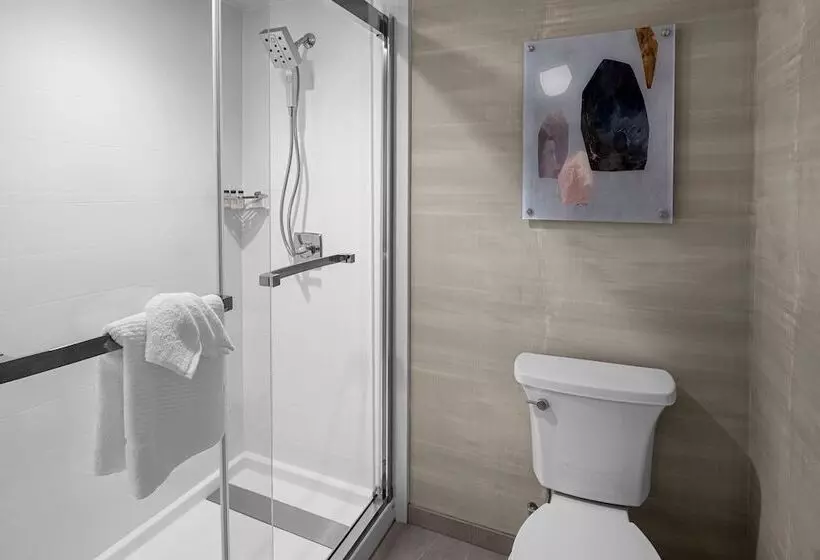 Delta Hotels By Marriott Santa Clara Silicon Valley