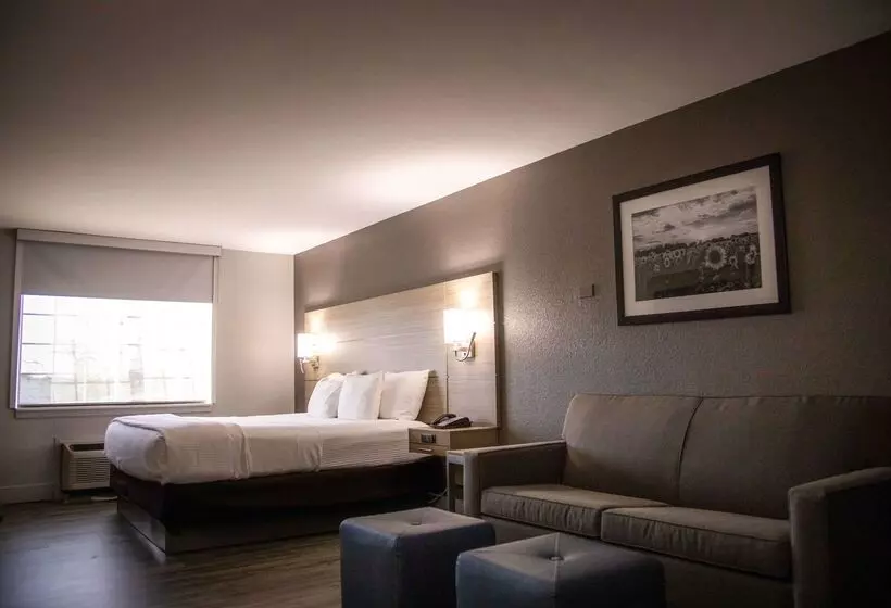 فندق La Quinta By Wyndham Joplin