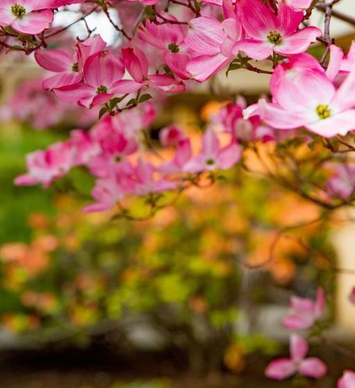 酒店 Mirabeau Park