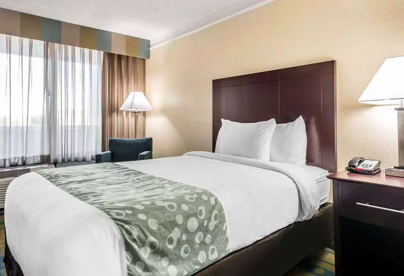 Sonohotel By Monreale Idrive