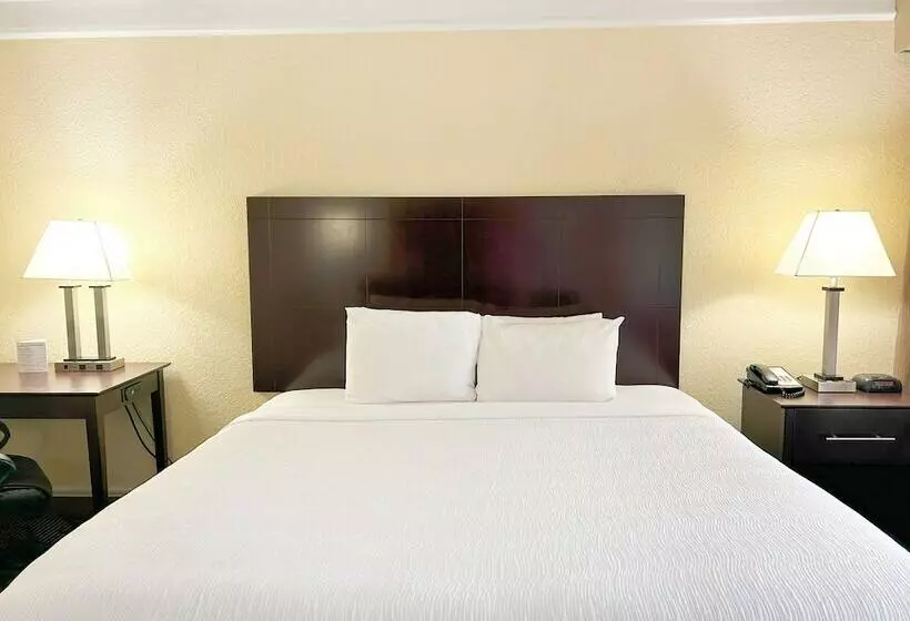 Sonohotel By Monreale Idrive