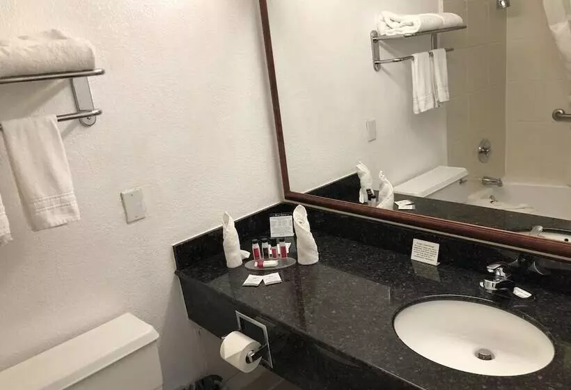 호텔 Ramada By Wyndham Birmingham Airport