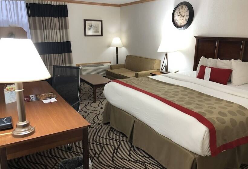 فندق Ramada By Wyndham Birmingham Airport