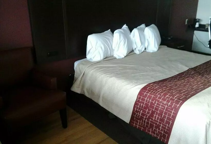 ホテル Red Carpet Inn South Holland