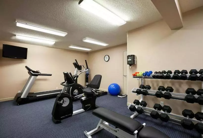 レジデンス Hawthorn Suites By Wyndham Troy, Mi