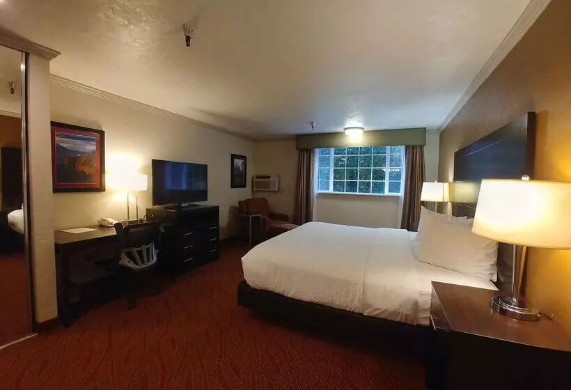 Otel Best Western Plus Parkway Inn