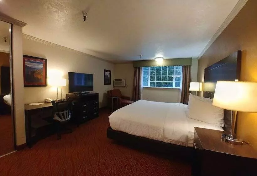 Otel Best Western Plus Parkway Inn