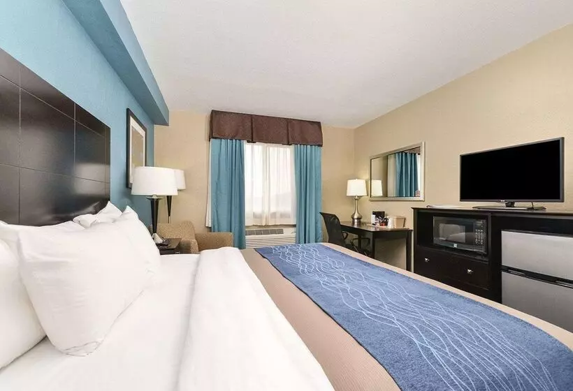 ホテル Comfort Inn & Suites Springfield I55