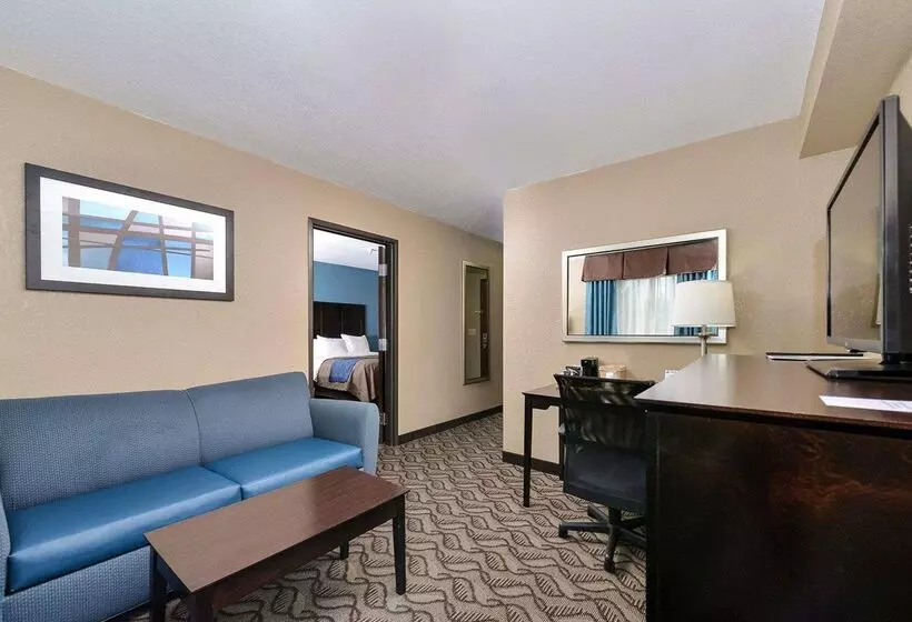 ホテル Comfort Inn & Suites Springfield I55