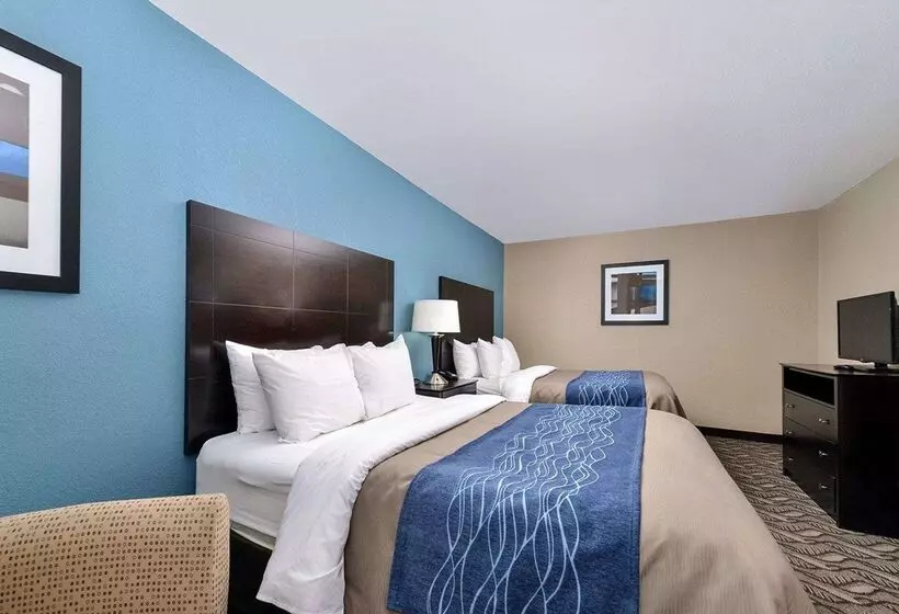 ホテル Comfort Inn & Suites Springfield I55