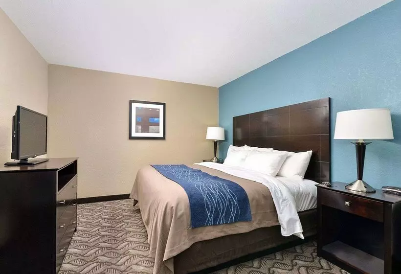 ホテル Comfort Inn & Suites Springfield I55