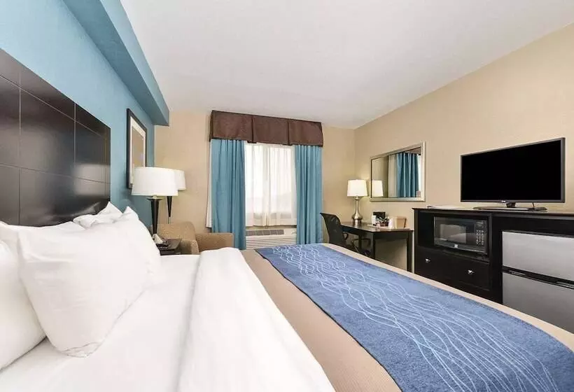 ホテル Comfort Inn & Suites Springfield I55