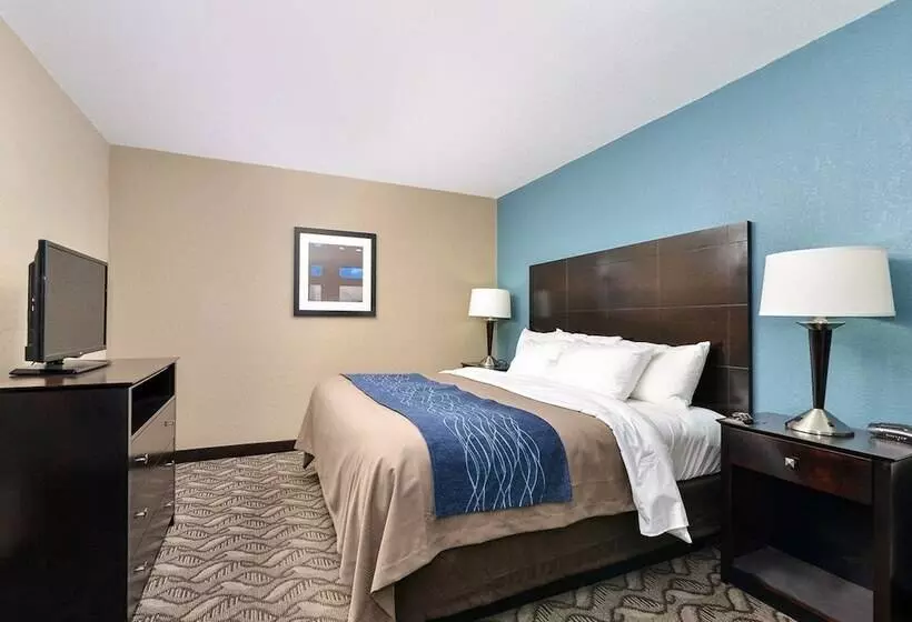 ホテル Comfort Inn & Suites Springfield I55