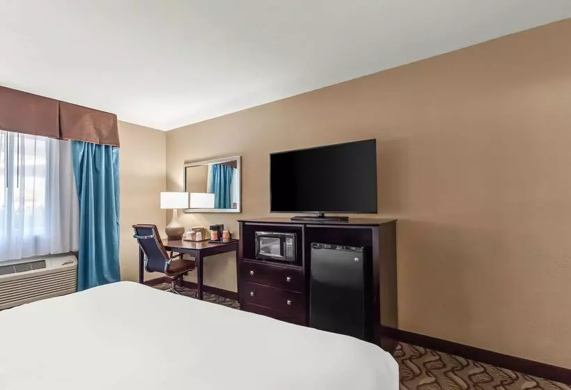 ホテル Comfort Inn & Suites Springfield I55