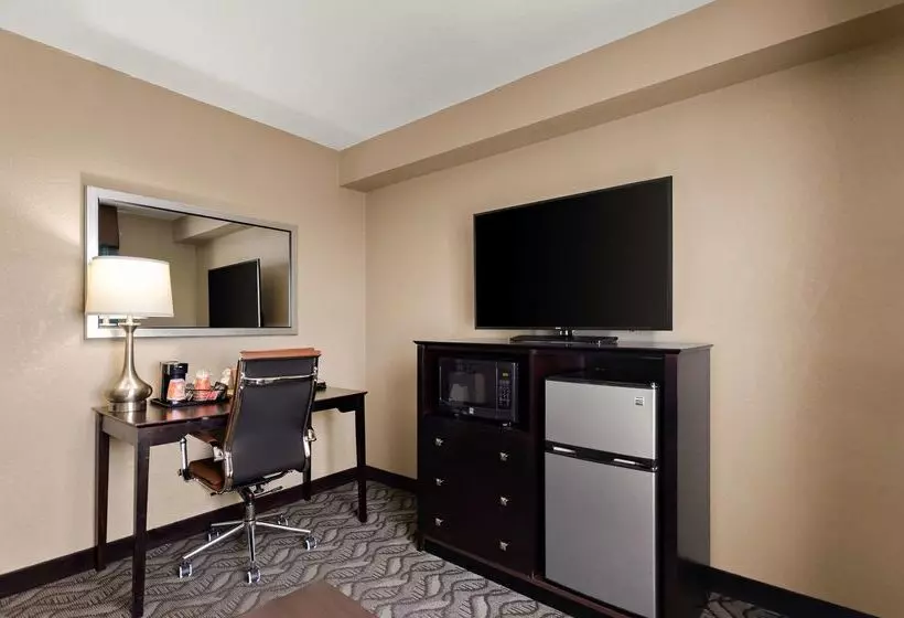 ホテル Comfort Inn & Suites Springfield I55