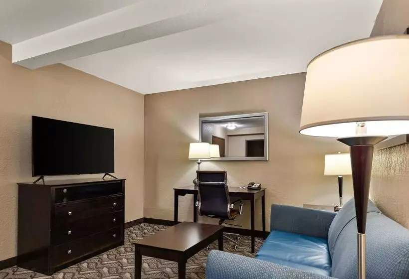 ホテル Comfort Inn & Suites Springfield I55