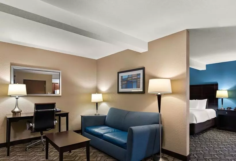 ホテル Comfort Inn & Suites Springfield I55