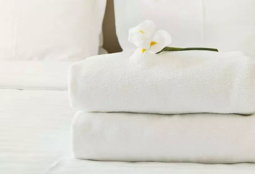 فندق Clinton Manor Union