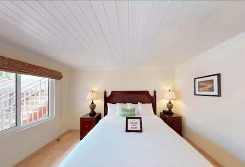 Отель Company House