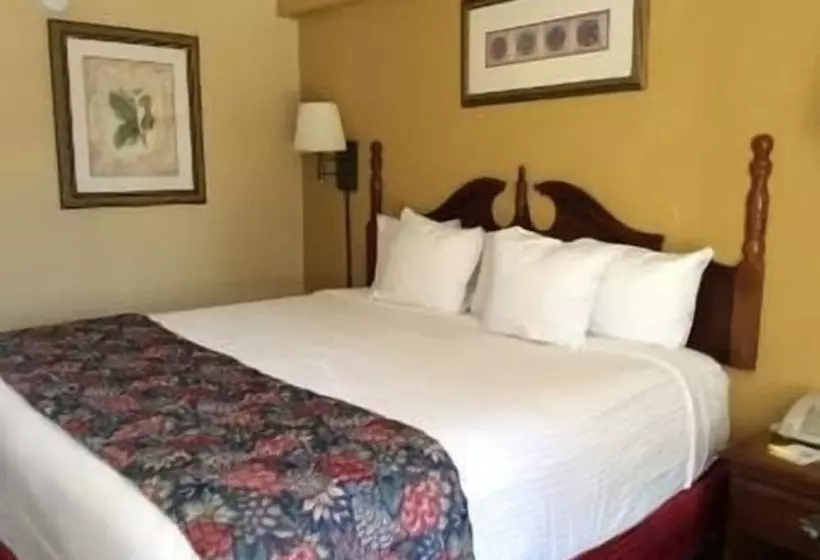 Hotelli Days Inn By Wyndham Hoover Birmingham