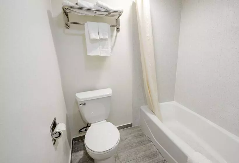 호텔 Hollywood Inn Express Lax