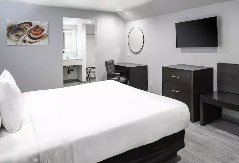 호텔 Hollywood Inn Express Lax