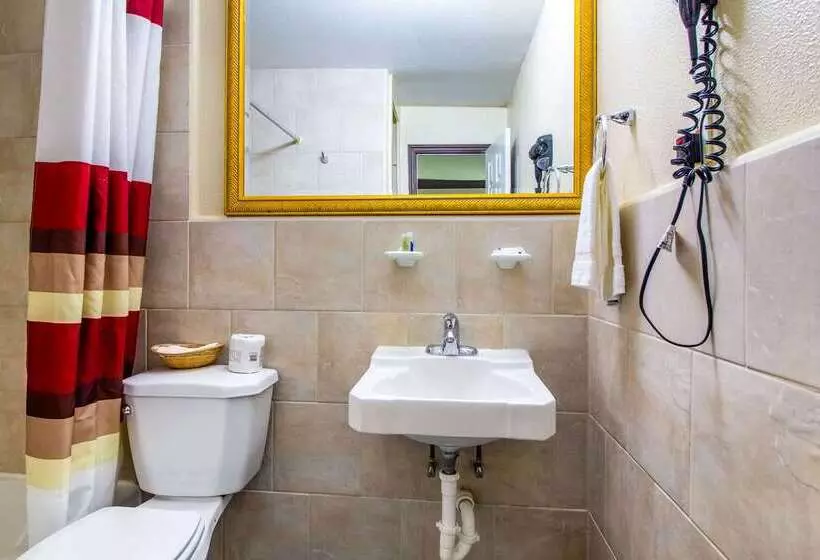 Hotel Rodeway Inn & Suites Houston Near Medical Center