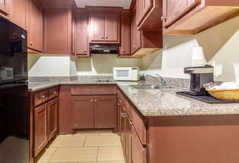 Hotel Rodeway Inn & Suites Houston Near Medical Center