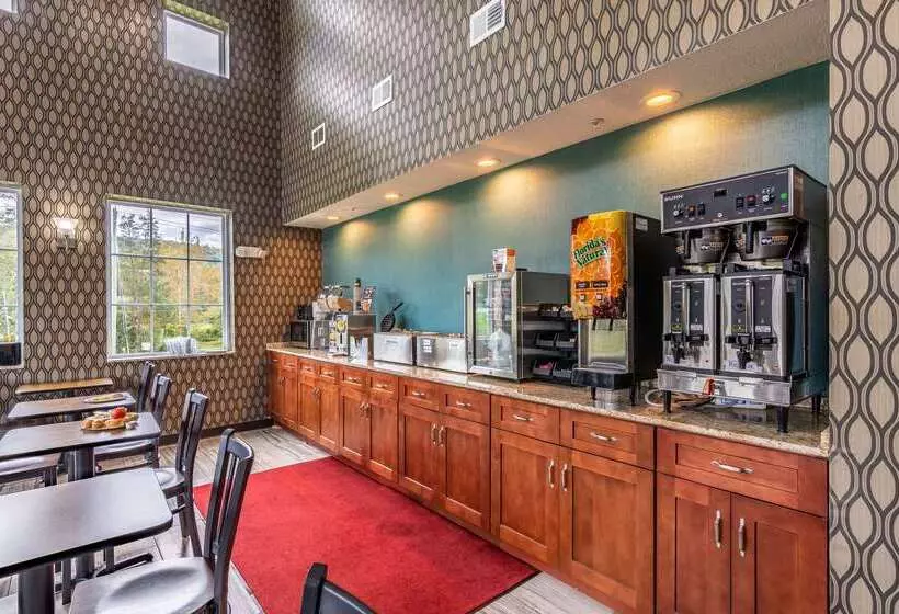 Otel Rodeway Inn And Suites