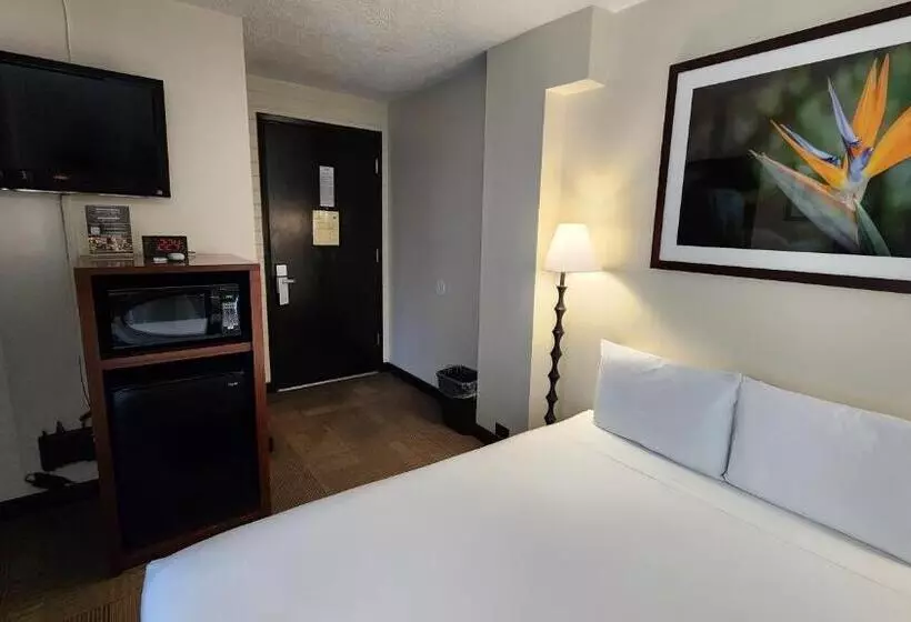 Stay Hotel Waikiki