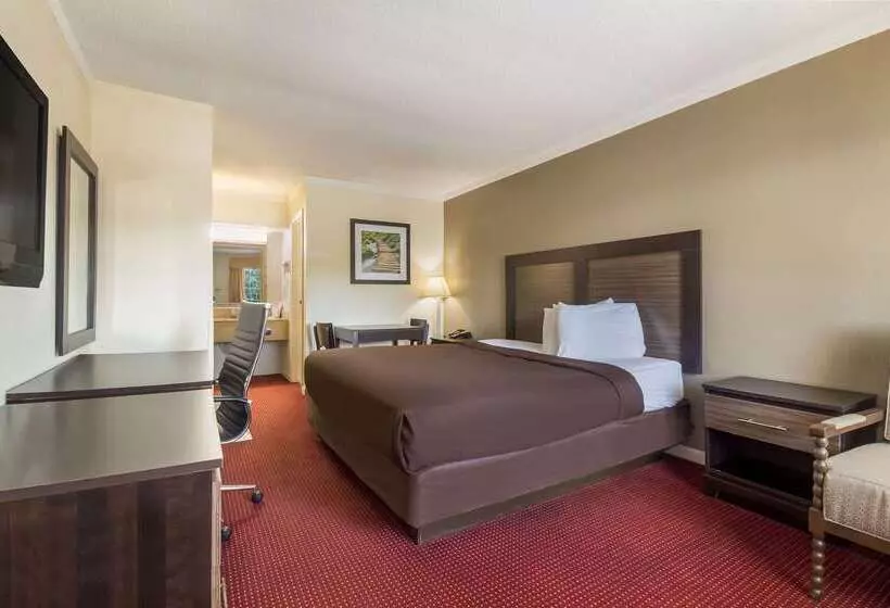 فندق Suburban Studios Florence I 95