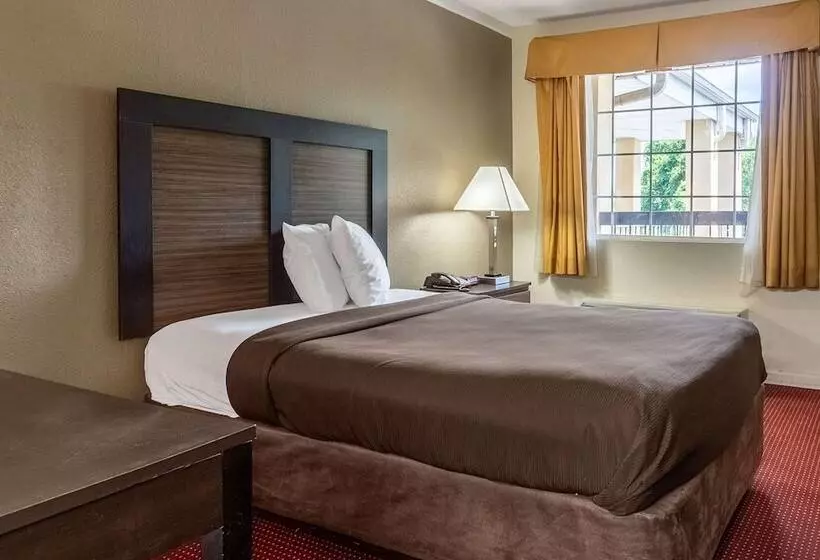 فندق Suburban Studios Florence I 95