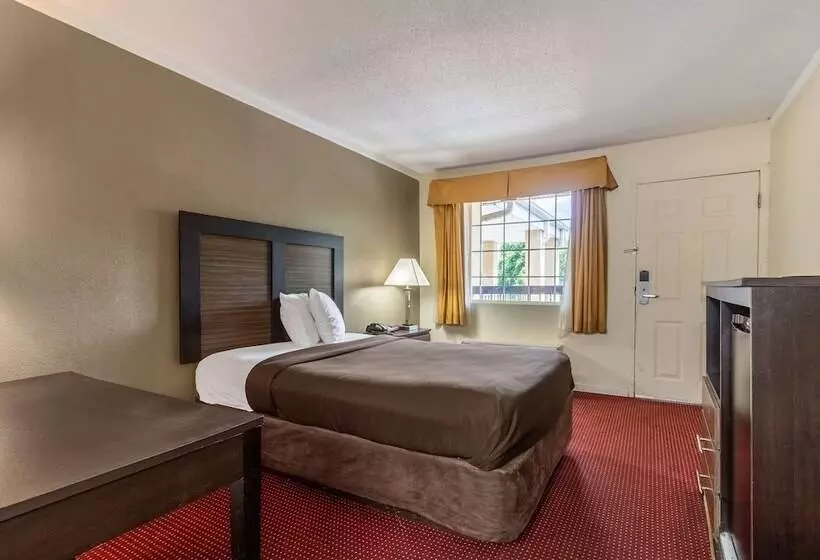 فندق Suburban Studios Florence I 95