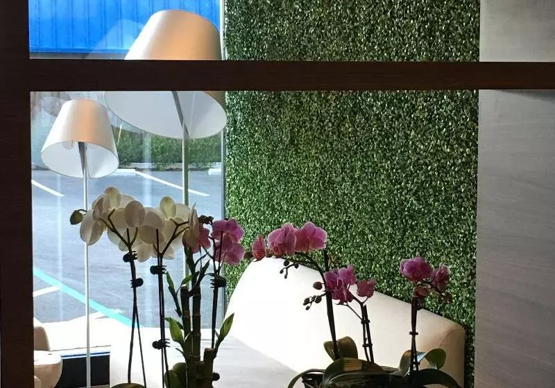 The Dylan Hotel At Sfo