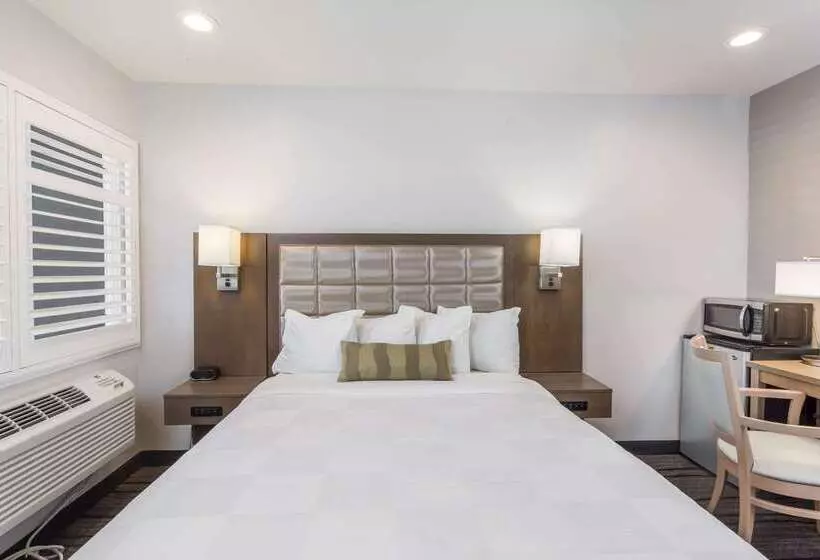 Hotel Sather Berkeley   Surestay Collection By Best Western