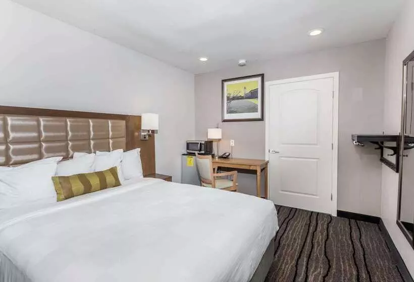 Hotel Sather Berkeley   Surestay Collection By Best Western