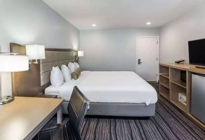 Hotel Sather Berkeley   Surestay Collection By Best Western