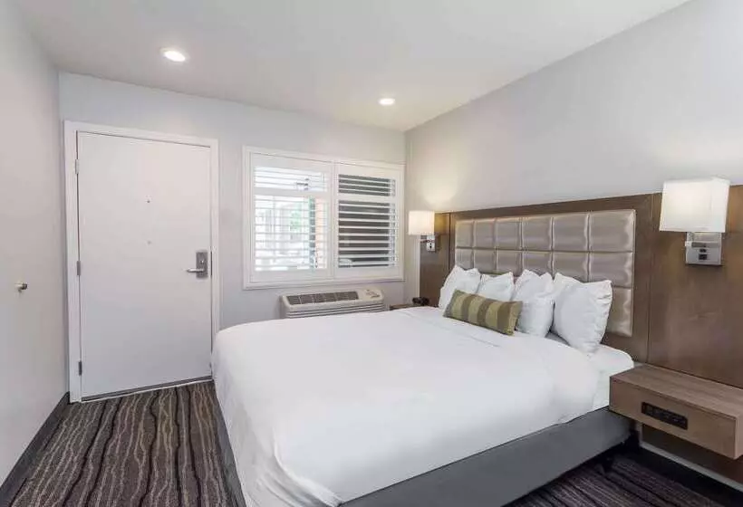 Hotel Sather Berkeley   Surestay Collection By Best Western