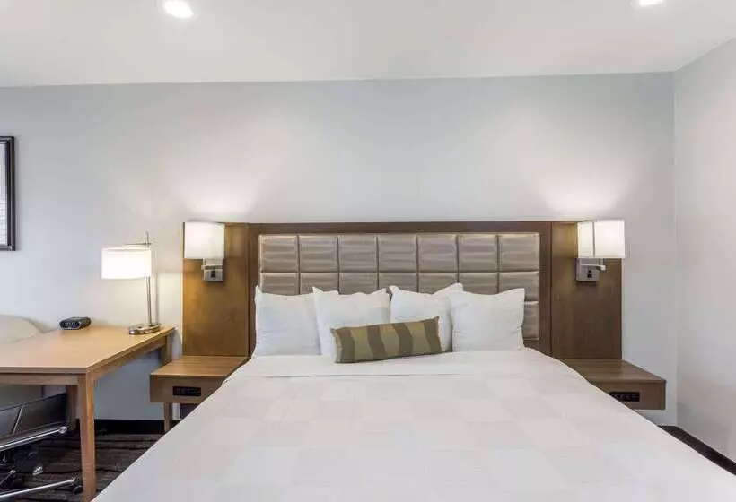 Hotel Sather Berkeley   Surestay Collection By Best Western