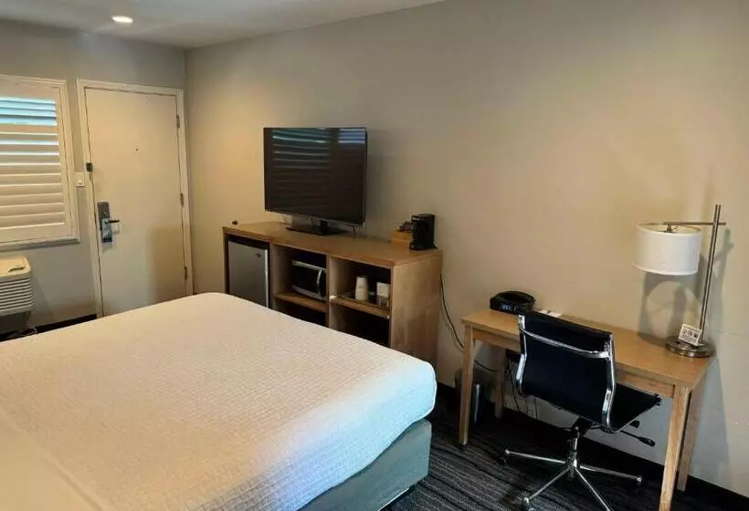 Hotel Sather Berkeley   Surestay Collection By Best Western