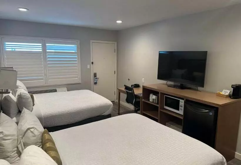 Hotel Sather Berkeley   Surestay Collection By Best Western